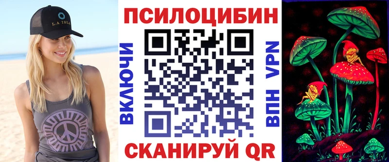 Галлюциногенные грибы Psilocybe  магазин  наркотиков  Жирновск 